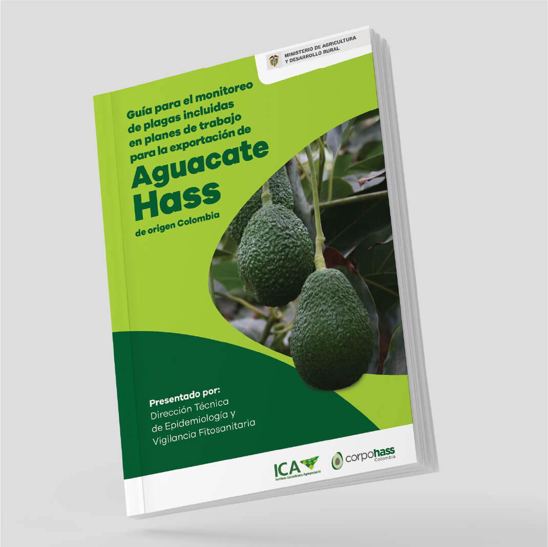 informe de gestion Corpohass