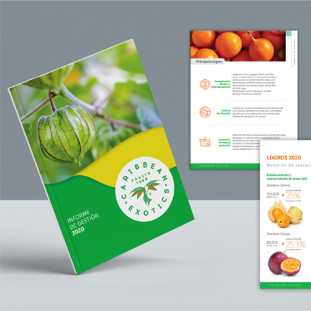 Ejemplo de brochure de agencia de diseño